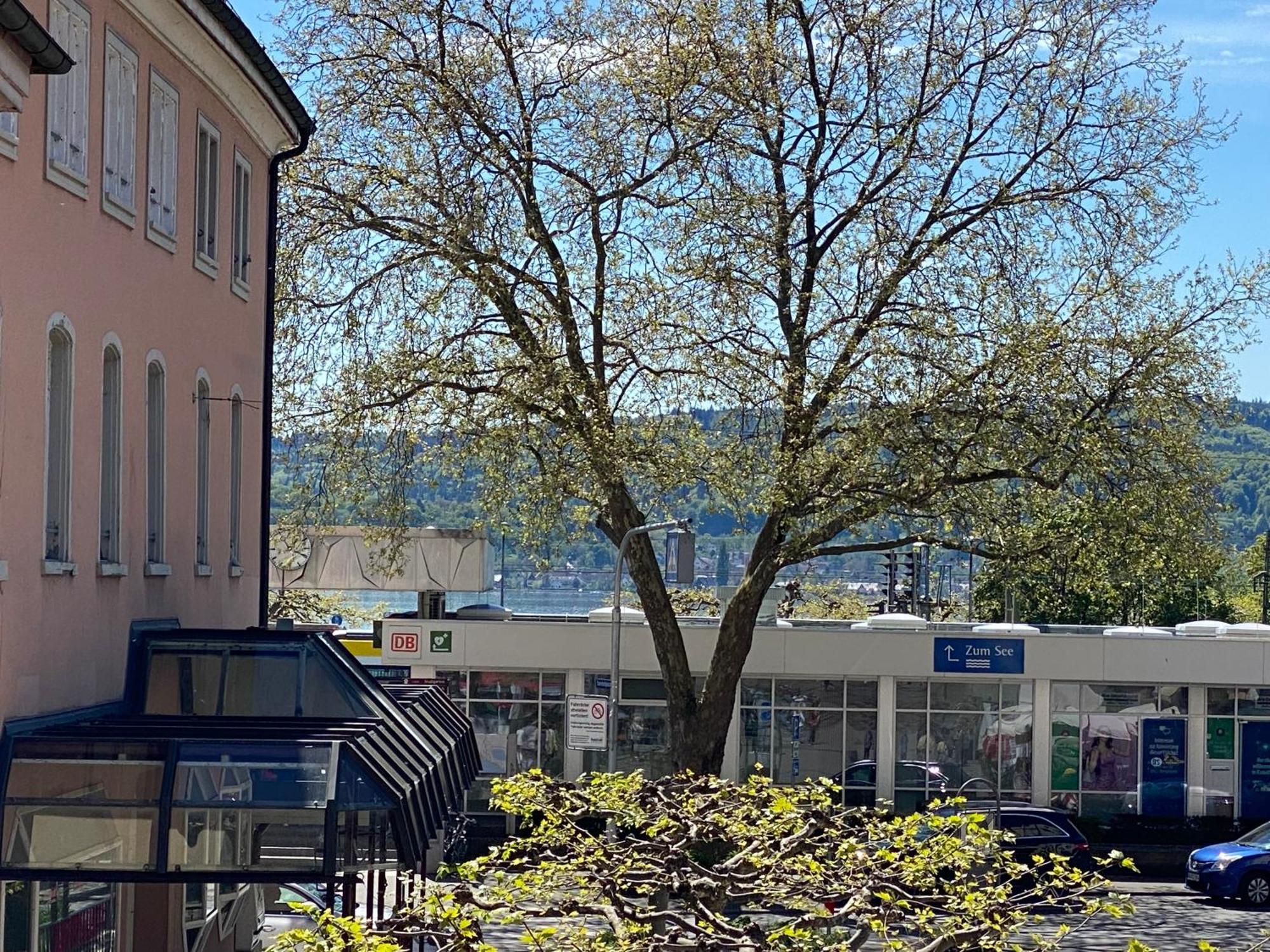 Ferienwohnung Seeromantik In 2 Minuten Am See Radolfzell am Bodensee Eksteriør billede