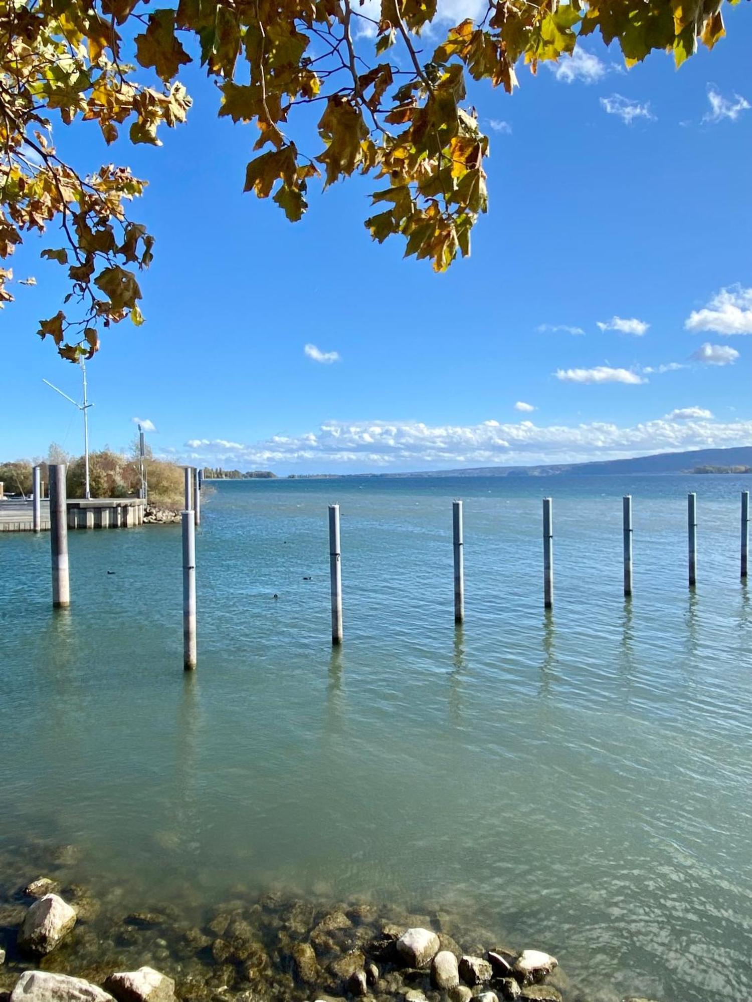 Ferienwohnung Seeromantik In 2 Minuten Am See Radolfzell am Bodensee Eksteriør billede